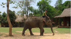 Elephant-Mahout training 