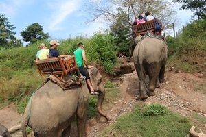 Picture of Ban Xienglom – elephant experience – Kayaking – Luang Prabang 